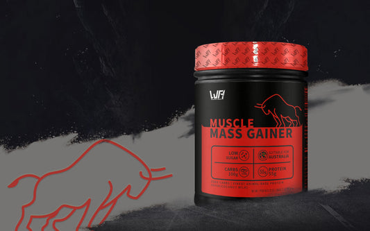 OX Series | Muscle Mass Gainer