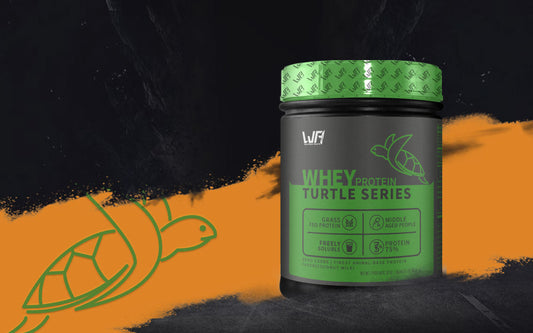 Turtle Series | Whey Protein Powder(For Middle-aged People)