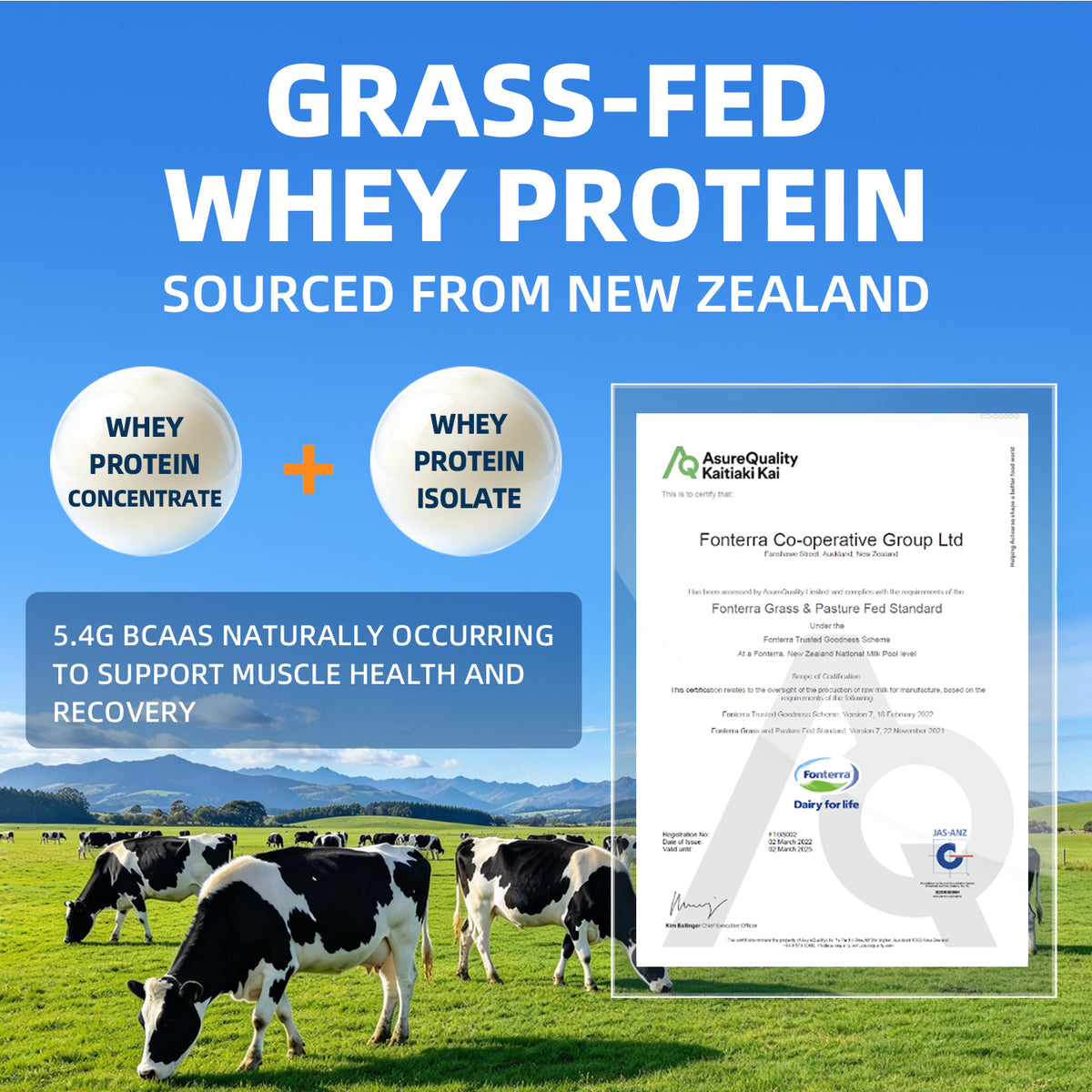 Kangaroo Series | Whey Protein Powder（Coconut Milk Flavor）