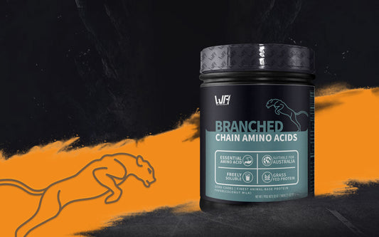 Amino acid Series | Cheetah pump